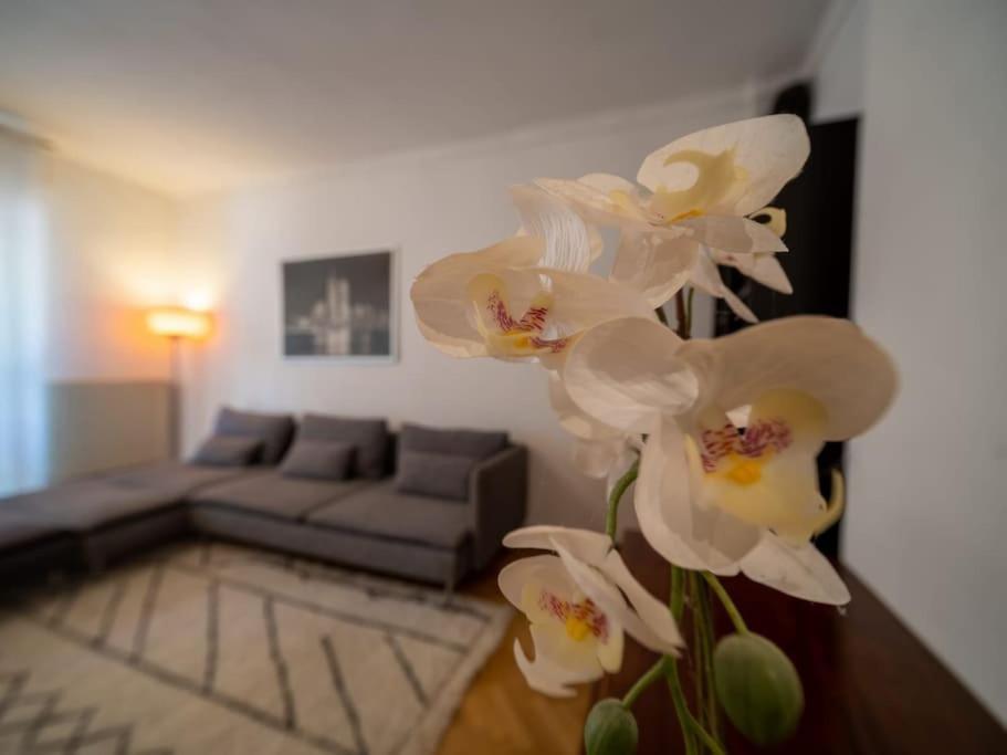 Appartement Climatise Tout Equipe A Cote Du Stade Velodrome Marseille Eksteriør billede